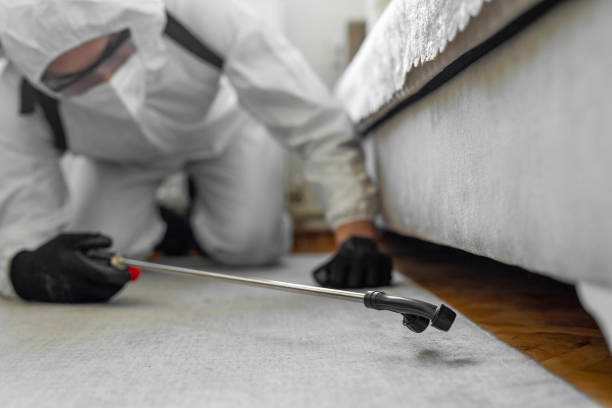 Professional Cockroach Control technician working in Grantsburg, WI