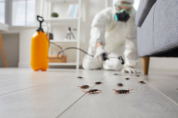 Trusted Rodent Control service in Grantsburg, WI - Nex Pest Control